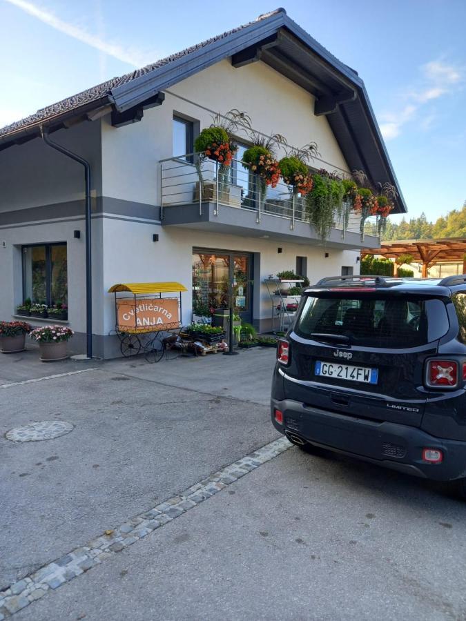 Apartmaji Tisa In Zana Rovte Exterior foto